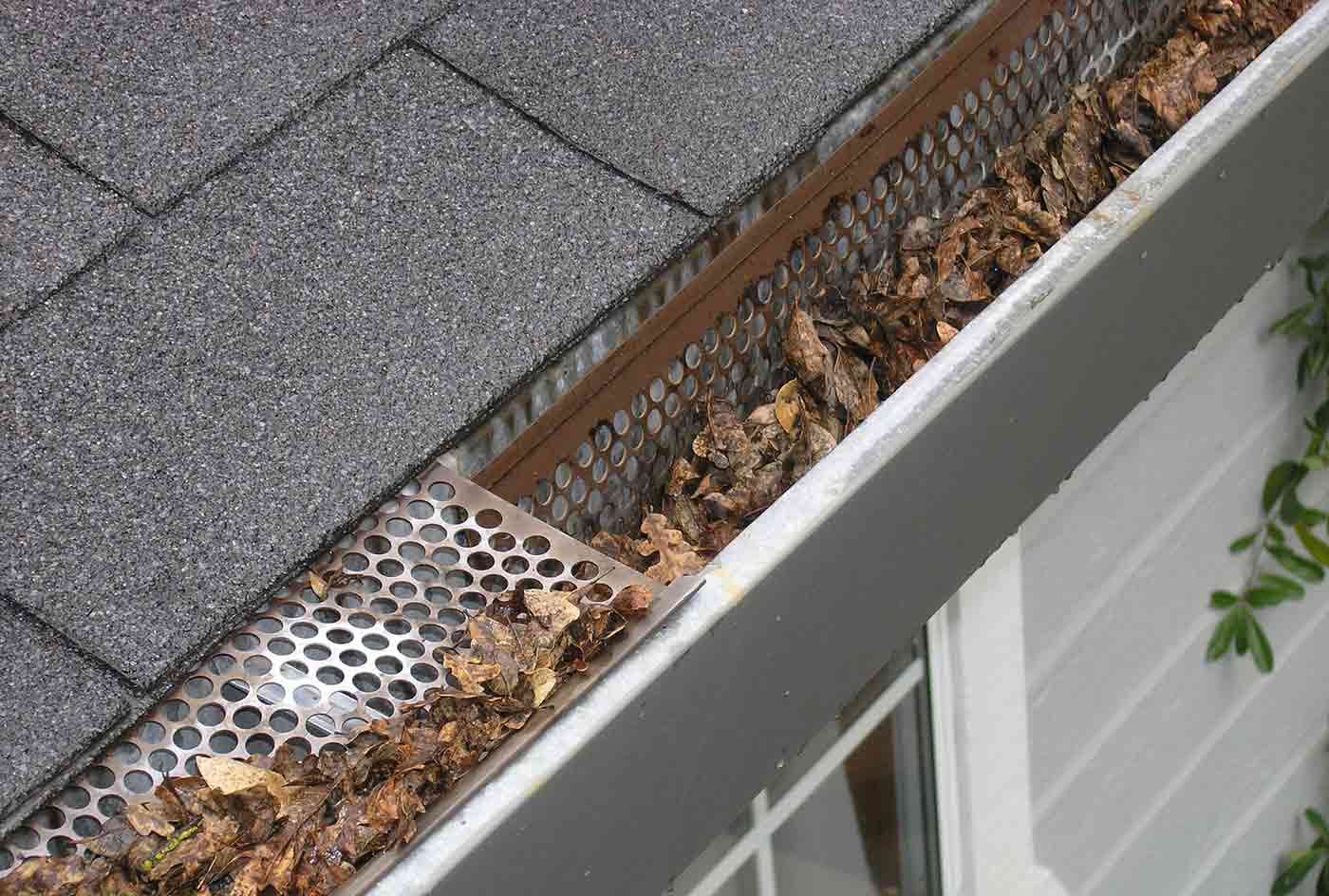 gutters that need cleaning