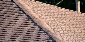 roof with asphalt shingles